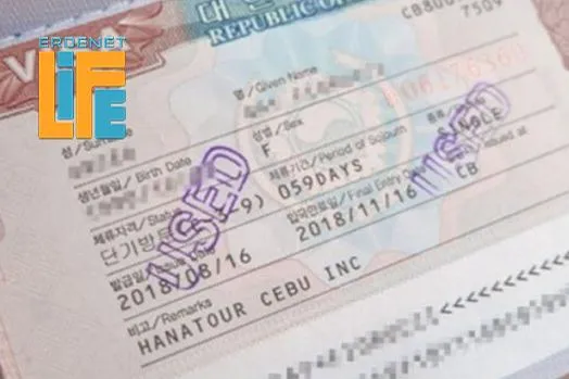 54 төрлийн визийг цахимаар олгох боломж бүрдлээ