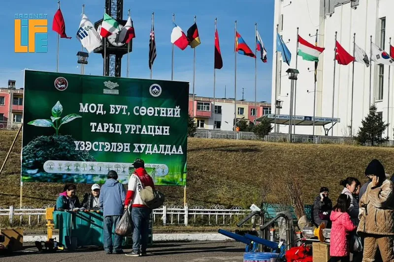 А.Амарын талбайд мод, бут, сөөгний үзэсгэлэн энэ сарын 6 наас эхэлнэ