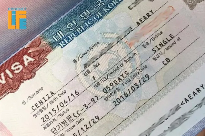 Япон Улсад зорчих нэг болон олон удаагийн визийн шинэчлэгдсэн тариф