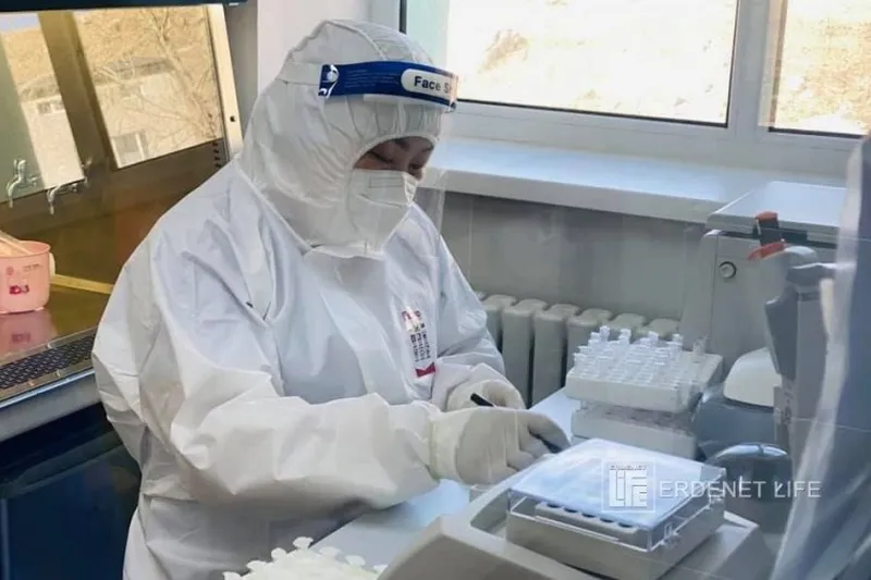 Орхон аймаг: Сүүлийн 24 цагт ойрын хавьтлаас зургаан халдвар бүртгэгдлээ