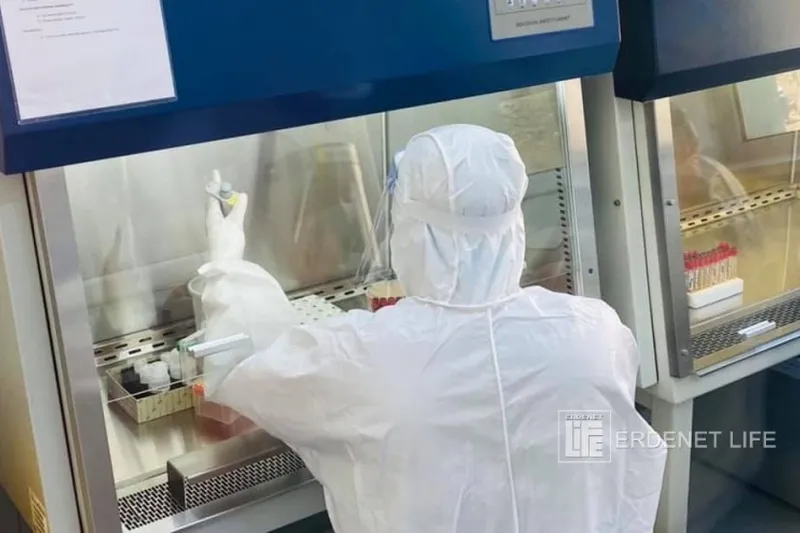 Орхон аймаг: Сүүлийн 24 цагт 205 PCR шинжилгээ хийхэд 33 шинэ халдвар бүртгэгдлээ