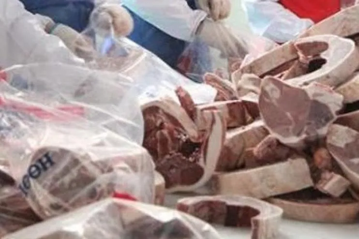 Орхон аймаг: Нөөцийн мах энэ сарын 15 наас худалдаанд гарна