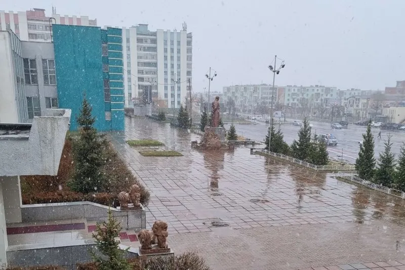 Танилц: Үйл ажиллагааг нь зөвшөөрсөн үйлчилгээний байгууллагууд...