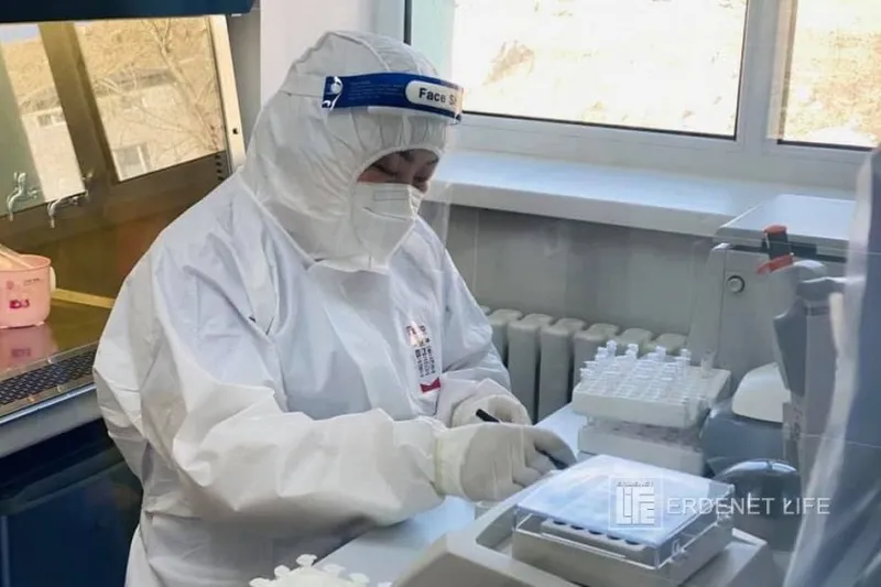 Ямар тохиолдолд PCR шинжилгээ шаардахгүй вэ?